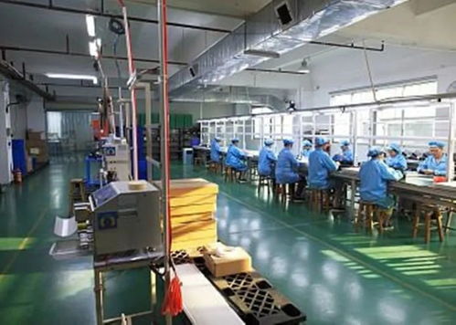 舒城 筑巢引鳳反哺鄉里,做活創業就業文章